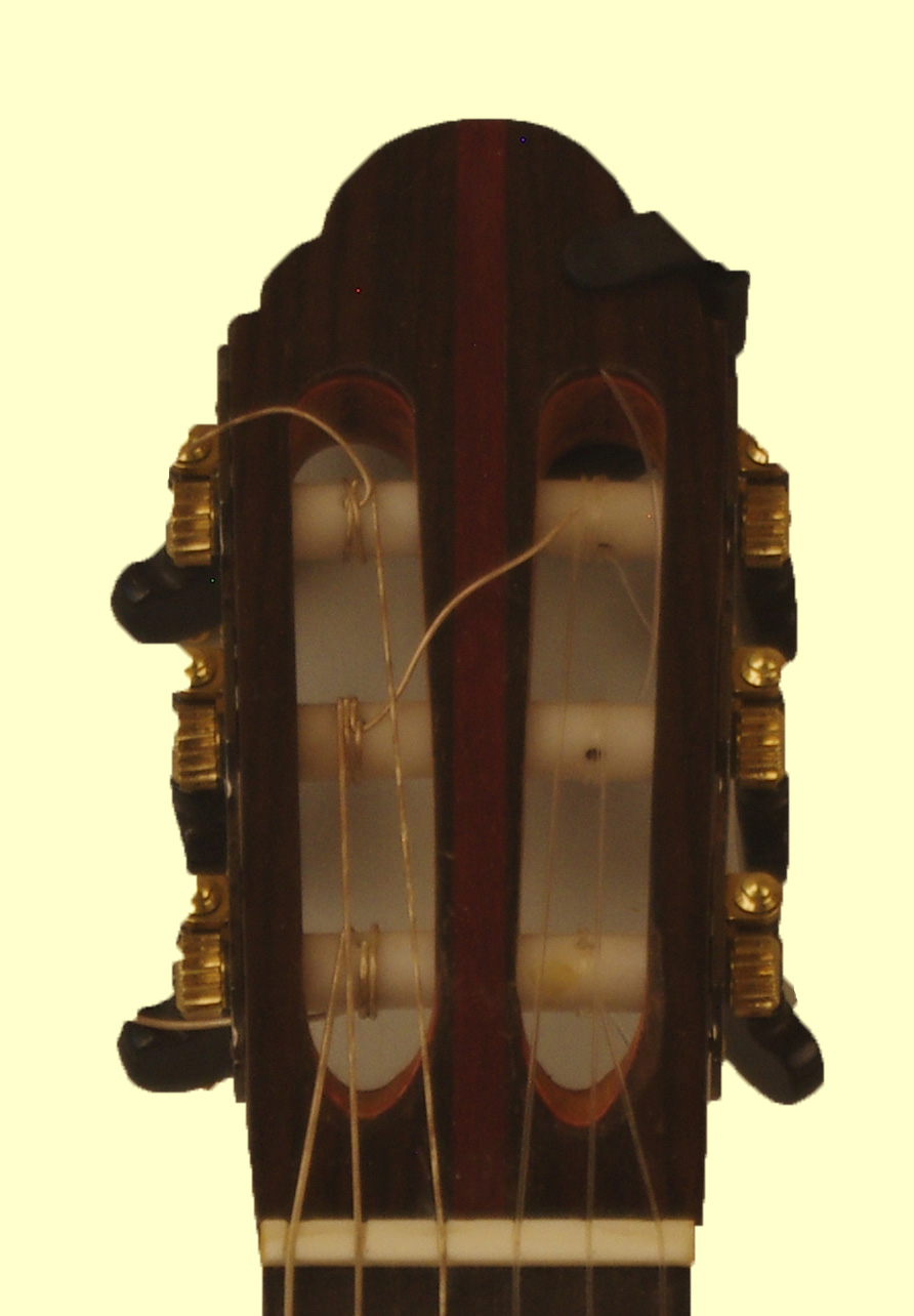 thompson21 head